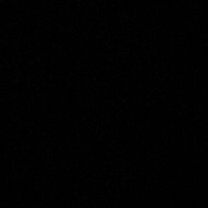 Meet your Posher, Panteha